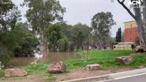 Residents in areas of southwest NSW, ACT under flood watch as rain continues | August 8, 2022 | ACM