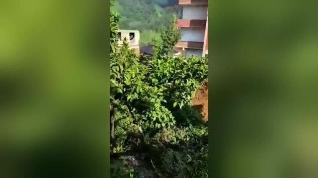 Rize yerel haberi... Rize'de Yol Yapımı Nedeniyle Arazisi İstimlak Edilen Kezban Yılmaz, Dozerin Önüne Çıkarak Yaşananlara Tepki Gösterdi