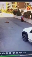 Köpeğin üzerinden aracıyla geçti