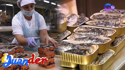 Sardinas, itinuturing na delicacy sa Portugal! | I Juander