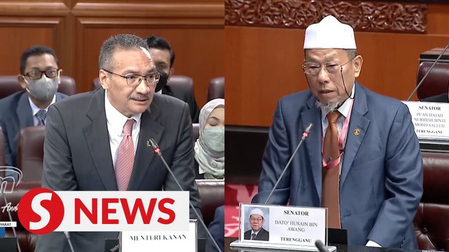 First LCS project expected to be completed within next year or two, says Hisham