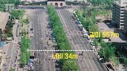 [현장의재구성] 세계에서 가장 큰 중앙분리대? 이젠 도심 속 공원