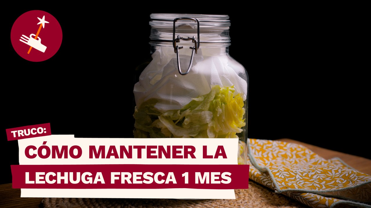 Cómo mantener la lechuga fresca 1 mes