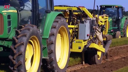 PROSES PERTANIAN POHON PINUS MODERN UNTUK BISNIS PERAYAAN NATAL