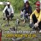 विदिशा : रेस्क्यू किए गए 8 कोबरा सांप को एक साथ जंगल में छोड़ा