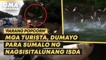 Mga turista, dumayo para sumalo ng nagsisitalunang isda | GMA News Feed