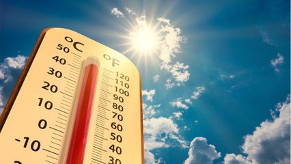 Noch diese Woche: Schlimmste Hitze des Sommers steht uns laut Experten bevor