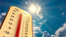 Noch diese Woche: Schlimmste Hitze des Sommers steht uns laut Experten bevor