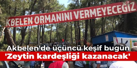 Akbelen'de üçüncü keşif bugün: Zeytin kardeşliği kazanacak