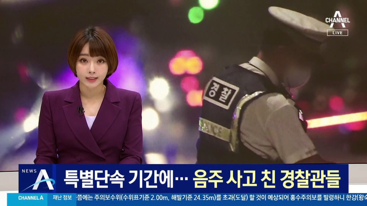 음주운전 특별단속 기간에…음주 사고 친 경찰관들