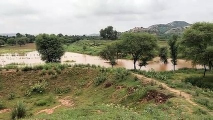 बैनाड़ा बांध में पानी आए तो बस्सी को मिले फायदा