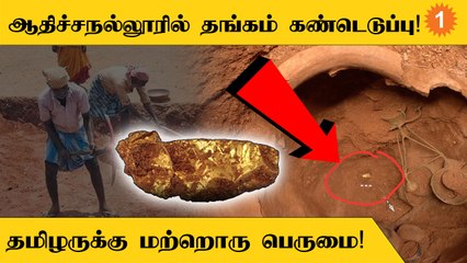 Adichanallur-ல் தோண்ட தோண்ட கிடைக்கும் தொல்பொருட்கள்! | Adichanallur Excavation *Politics