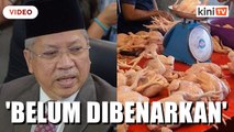 Eksport ayam belum boleh dibenarkan - Annuar Musa