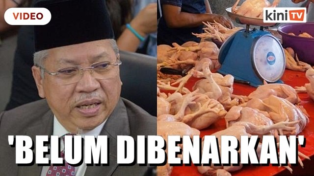 Eksport ayam belum boleh dibenarkan - Annuar Musa