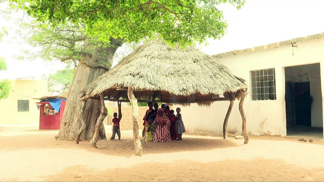 Electrification Rurale : De vielles doléances enfin satisfaites par le Programme d'Urgence de Développement Communautaire (PUDC) dans le cadre du projet d'électrification de 2000 villages