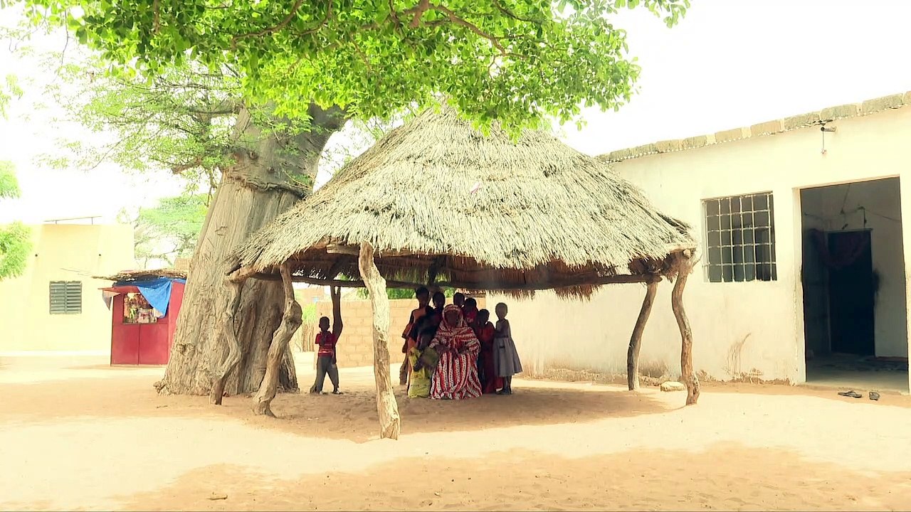 Electrification Rurale : De vielles doléances enfin satisfaites par le Programme d'Urgence de Développement Communautaire (PUDC) dans le cadre du projet d'électrification de 2000 villages