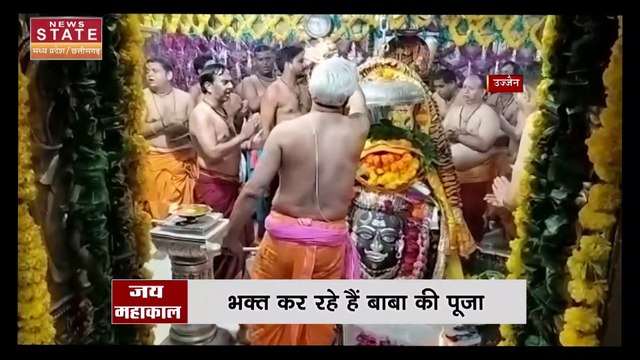 Elephants Terror in Chhattisgarh: मरवाही रेंज में 3 हाथियों का उत्पात, घरों और फसलों को रौंदा | CG