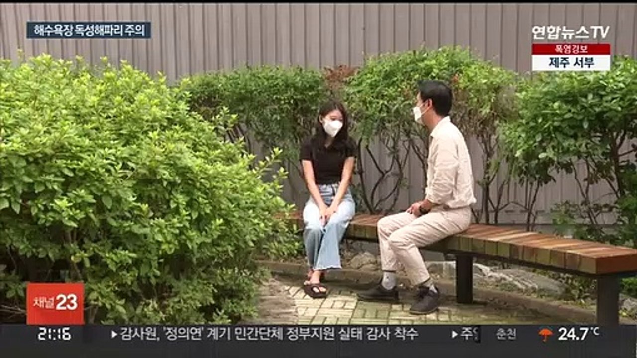 해수욕장 해파리 쏘임 사고 잇따라…"크기 더욱 커져 위험"