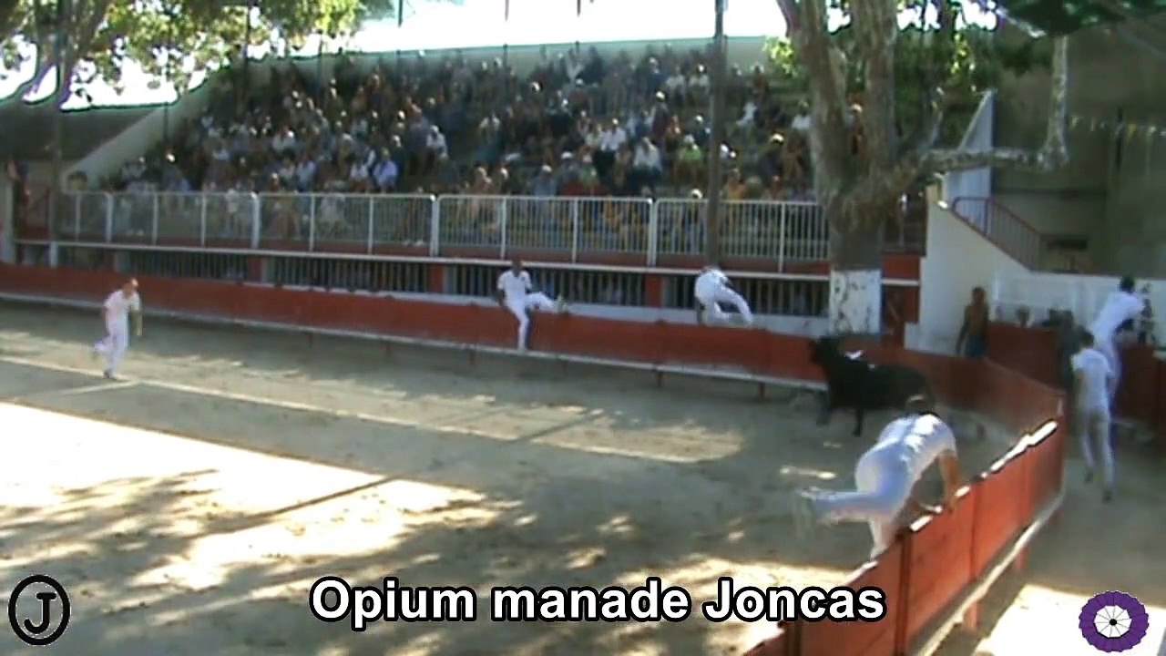 2022 07 31 Opium