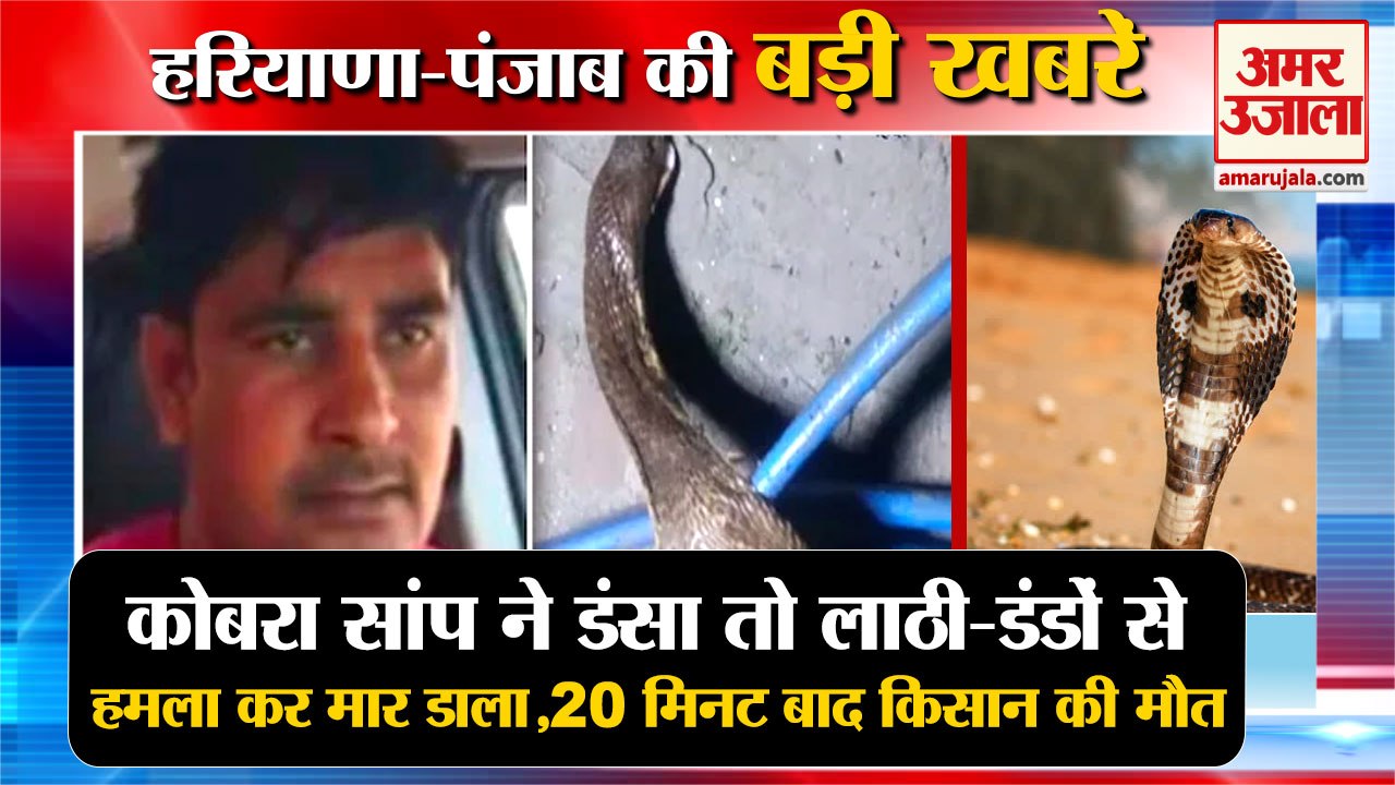 Farmer Dies Due To Cobra Snake Bite in Panipat|...