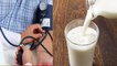 High Blood Pressure मरीजों के लिए ठंडा दूध है रामबाण, जानिए पीने का तरीका । Bolsky *Health