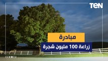 رئة مصر الخضراء.. المتحدث باسم الزراعة يكشف تفاصيل مبادرة 100 مليون شجرة