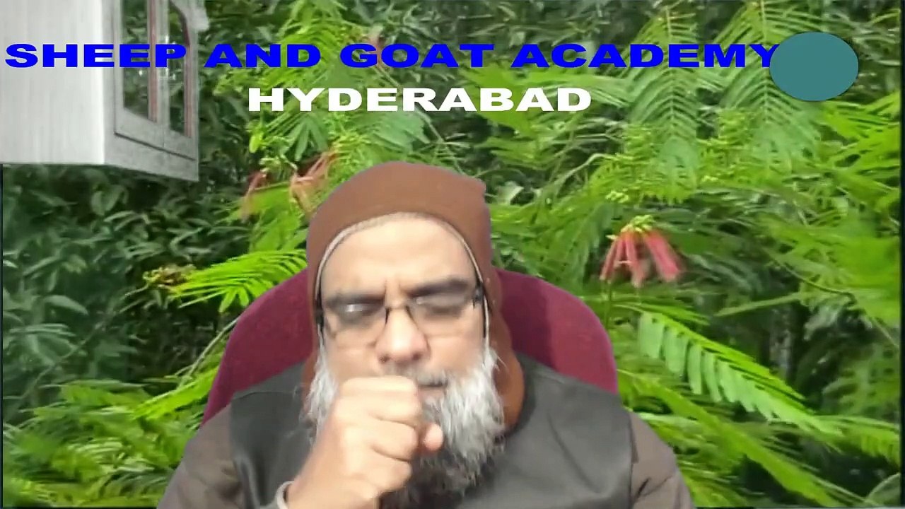 LEARN GOAT FARMING-TREE FODDER-AVISA SESBANIA GRANDIFLORA -PART-26 ...