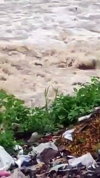 रपट पार करते समय बहा बाइक सवार, ग्रामीणों ने बचाई जान देखे Video