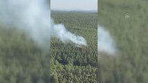Son dakika haberi: Ormanlık alanda çıkan yangın kontrol altına alındı