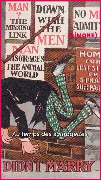 SIMONE - Y a-t-il un lien entre haine des chats et sexisme ?