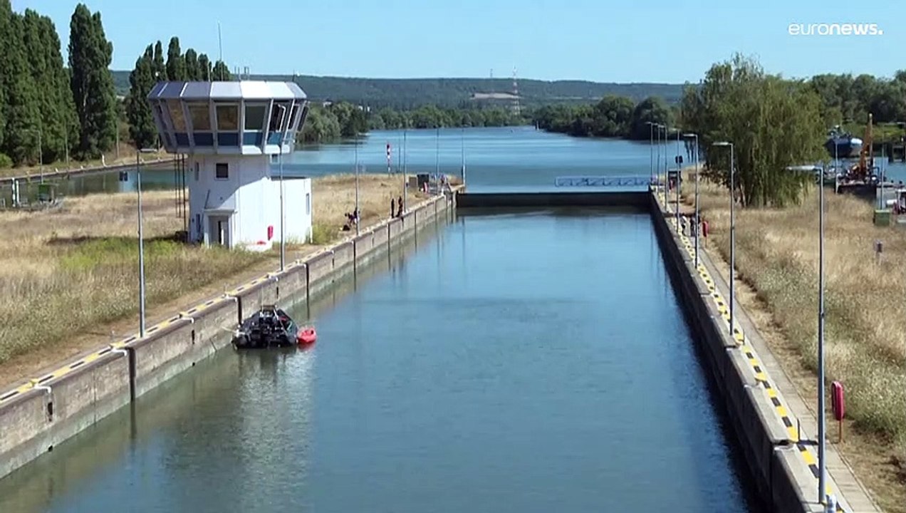 Belugawal in der Seine: Zustand 'stationär', Expertenteam soll über Evakuierung entscheiden