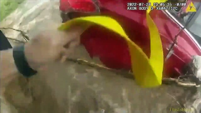 Des policiers interviennent pour sauver une femme des inondations... héros du jour