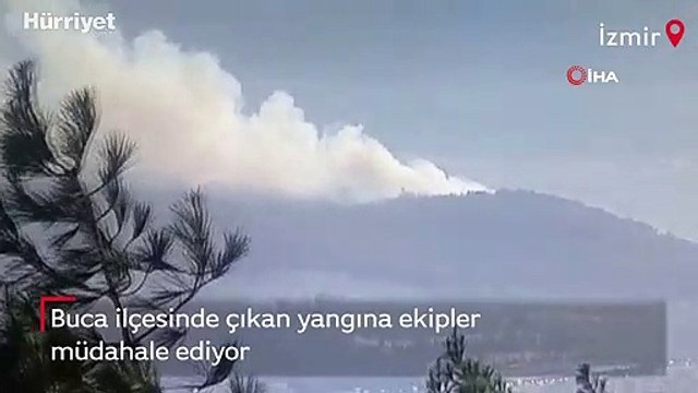 İzmir’in Buca ilçesinde ormanlık alanda yangın çıktı.