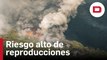 El incendio de Ávila, con riesgo de reproducciones y «1.000 hectáreas quemadas»