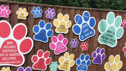 Rain pet rescue centre facing breaking point.