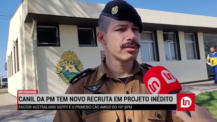 Canil da PM de Apucarana tem novo recruta em programa inédito; veja