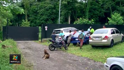 tn7-incidente-pococi-080822