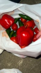 Surprising Grocery Haul From Qdoba Kitchen