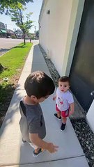 Saving a Baby Bird Stuck in Rocks