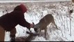 Rescue of deer. Deer was tangled in the horns of dead deer