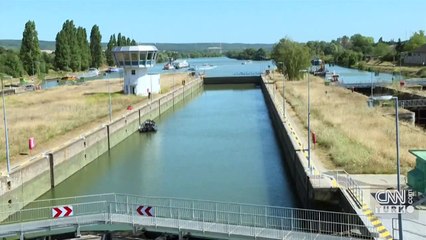 Sen nehri balinasından kötü haber