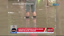 Kaso ng leptospirosis sa Bicol Region, umabot na sa 85, 11 nasawi | UB