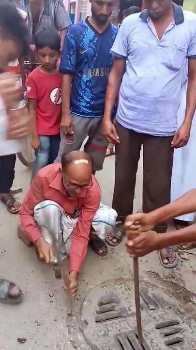 Rescuing a Cat Trapped in the Sewers