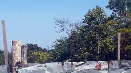 Airbus A321 PT-MXB on final approach coming from Brasília to Manaus