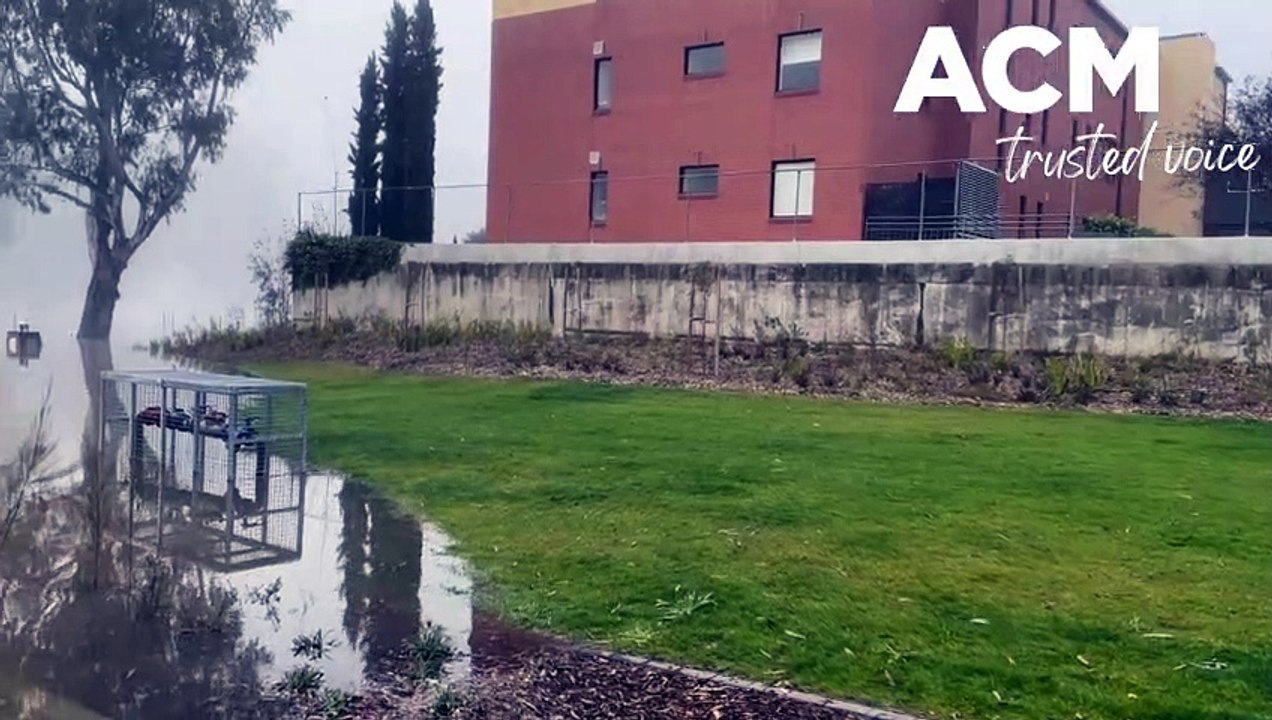 Wagga Beach flooded | 09.08.22 | The Daily Advertiser