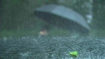 [날씨] 중부 기록적인 폭우...수도권·영서 '호우경보', 300mm↑ / YTN