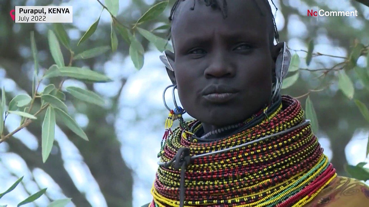 Extreme Dürre im Norden Kenias: Es gibt nur noch bittere Beeren