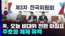 與, 오늘 비대위 전환 마침표...주호영 체제 유력 / YTN