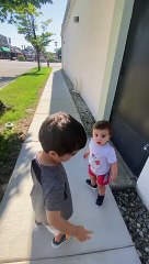 Saving a Baby Bird Stuck in Rocks