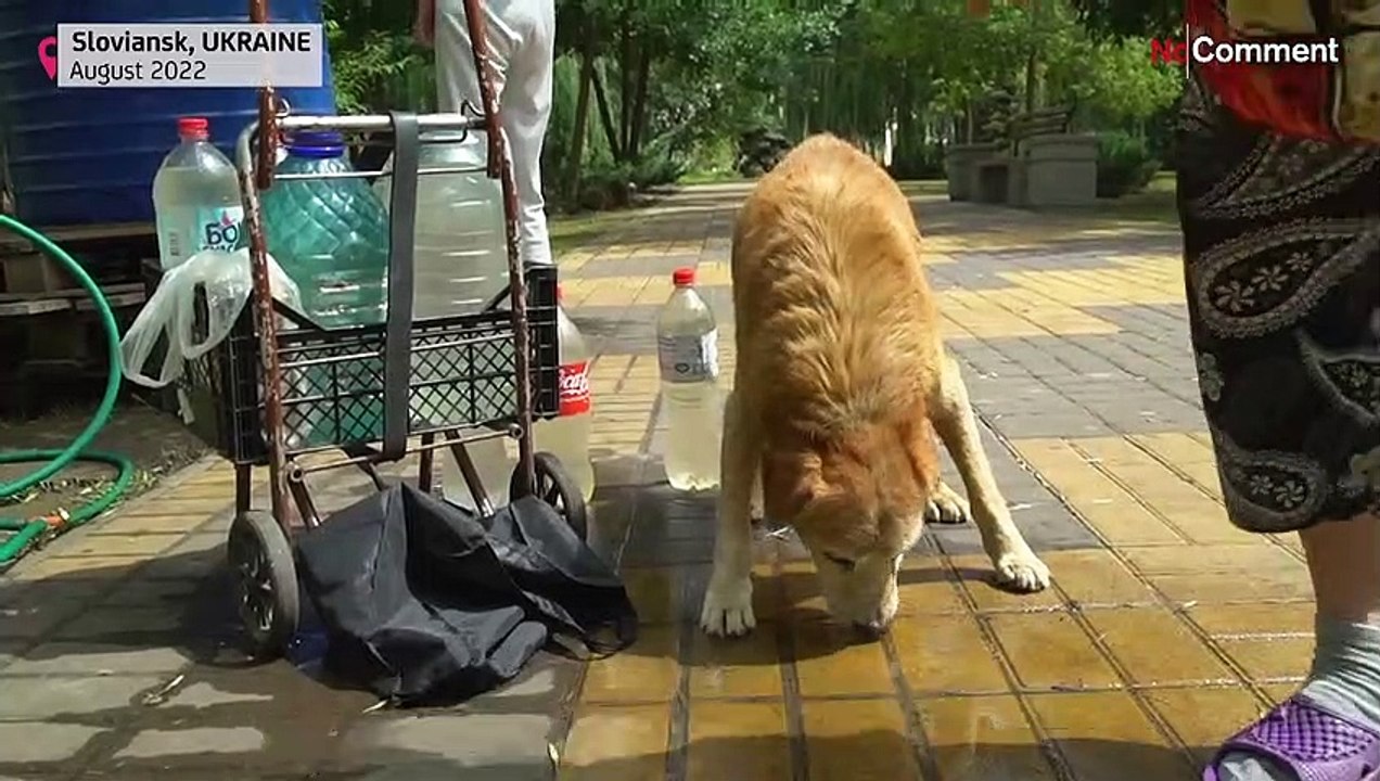 Wasser holen in Slowjansk: 'Es ist gefährlich, aber was sollen wir tun?'